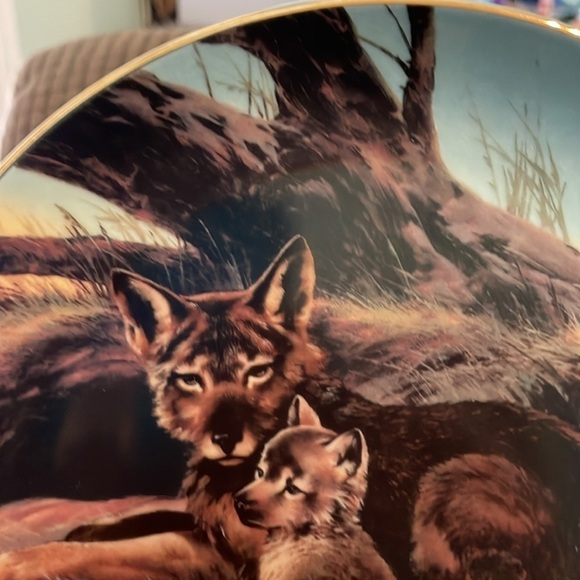 The Red Wolf Will Nelson Vintage Last of Their Kind: Endangered Species Plate - Picture 3 of 16